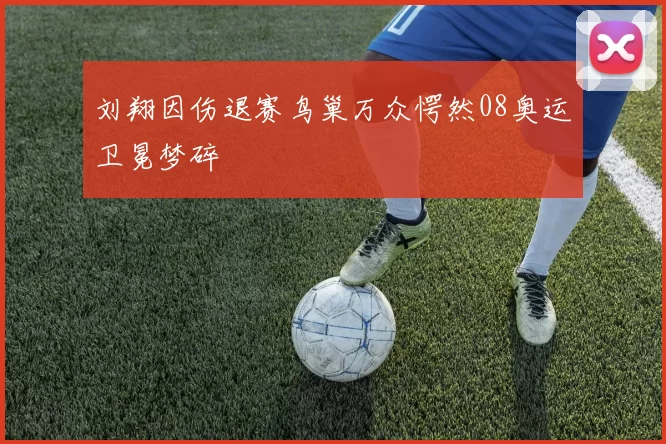 刘翔因伤退赛鸟巢万众愕然08奥运卫冕梦碎