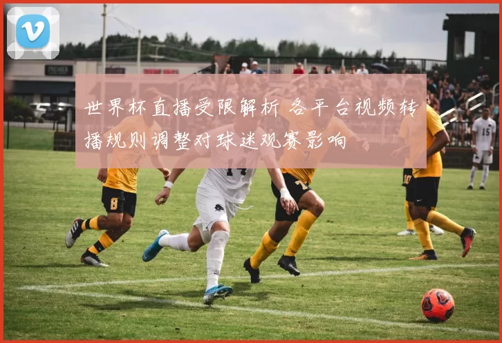 世界杯直播受限解析 各平台视频转播规则调整对球迷观赛影响