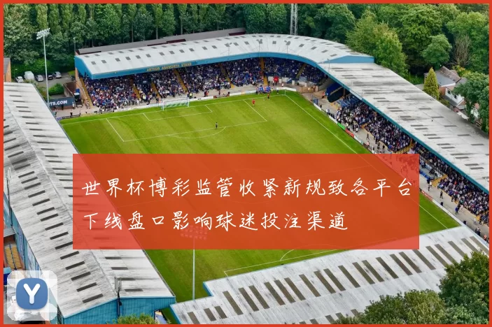 世界杯博彩监管收紧新规致各平台下线盘口影响球迷投注渠道