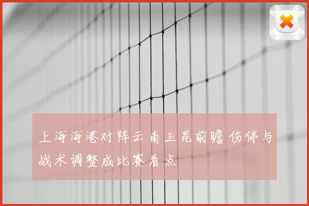 上海海港对阵云南玉昆前瞻 伤停与战术调整成比赛看点